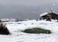 Artvin'de çığ altında kalan çoban için arama çalışması yeniden başlatıldı