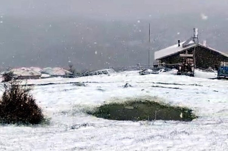 Artvin'de çığ altında kalan çoban için arama çalışması yeniden başlatıldı