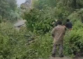 Heyelanda devrilen ağaçlar yolu kapattı