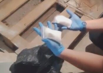 Kars'ta polis ekiplerince bir iş yerine düzenlenen uyuşturucu operasyonunda, narkotik detektör köpeği Zeus'un dikkati sayesinde 205 gram metamfetamin ele geçirildi. Fotoğraf: Kars, (DHA)