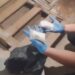 Kars'ta polis ekiplerince bir iş yerine düzenlenen uyuşturucu operasyonunda, narkotik detektör köpeği Zeus'un dikkati sayesinde 205 gram metamfetamin ele geçirildi. Fotoğraf: Kars, (DHA)
