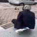 Kedinin yüzüne yağ çözücü sprey sıkan market çalışanı adli kontrol şartıyla serbest