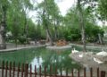 Denizi olmayan şehrin gizli amiralleri ve Kuğulu Park paradoksu