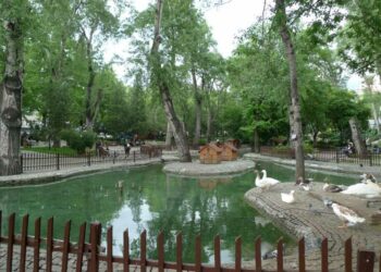Denizi olmayan şehrin gizli amiralleri ve Kuğulu Park paradoksu