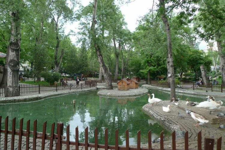 Denizi olmayan şehrin gizli amiralleri ve Kuğulu Park paradoksu