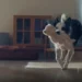 Gündemdeki reklam üzerine iletişim gözüyle değerlendirme