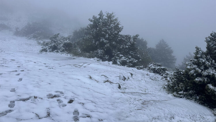 Türkiye’de hava ters köşe: Mayısta kar yağdı