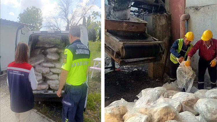 Tekirdağ’da skandal! Uygunsuz koşullarda taşınan 1 ton 200 kilo sakatat imha edildi