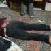 Sakarya’da uyuşturucu operasyonu: 17 gözaltı