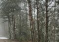 Bolu'nun yükseklerinde mayıs karı