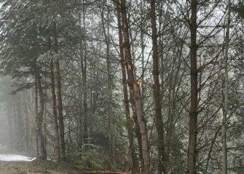 Bolu'nun yükseklerinde mayıs karı