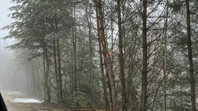Bolu'nun yükseklerinde mayıs karı