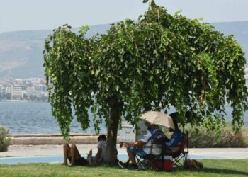 Prof. Dr. Türkeş: Türkiye'de bu yıl da sıcaklık rekorları kırılabilir