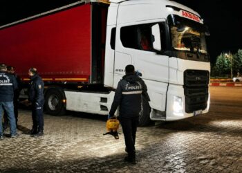 Malatya'da TIR'ın çarptığı yaya öldü; şoför gözaltında