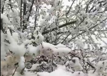 Sivas’ta yüksek kesimlere kar yağdı