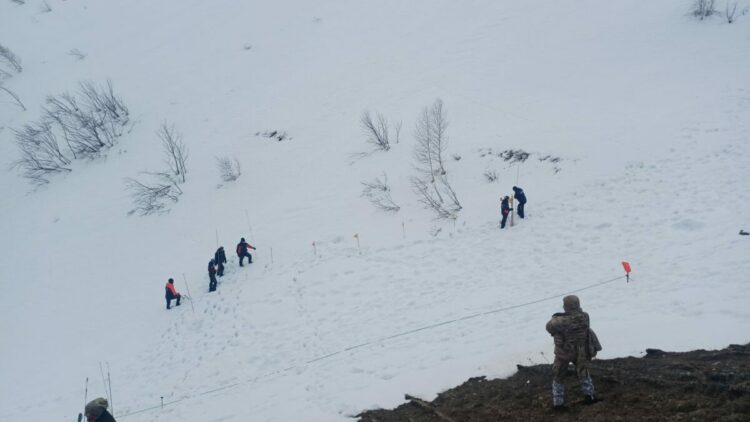 Artvin'de çığ altında kalan çoban için arama çalışması yeniden başlatıldı