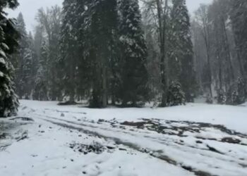 Bartın'ın yüksek kesimlerine kar yağdı