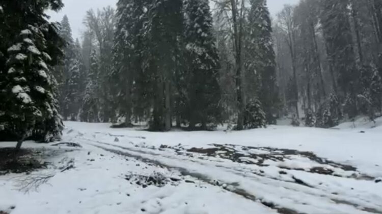 Bartın'ın yüksek kesimlerine kar yağdı