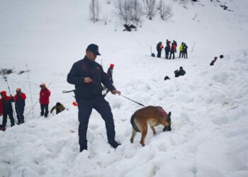 4 ay önce çığ altında kalan çoban için yeniden başlatılan arama çalışmaları 2’nci gününde