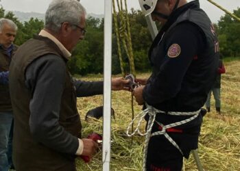 Su kuyusuna düşen tilki kurtarıldı