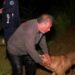 Bursa'da taşan dere çiftliği bastı: Mahsur kalan çiftçi ve köpeği kurtarıldı