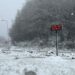 Bolu Dağı'nda kar yağışı