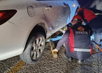 Sürüye çarpan otomobildeki 2 kişi yaralandı, 40 koyun öldü