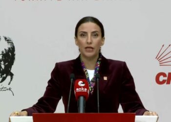 CHP'li Rızvanoğlu: Bu ülkenin ormanları sahipsiz değil