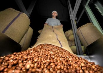 Doğu Karadeniz'den ilk 4 ayda 678 milyon dolarlık ihracat