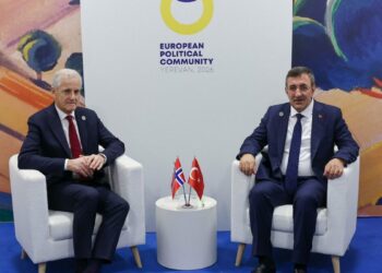 Cumhurbaşkanı Yardımcısı Yılmaz, Norveç Başbakanı Store ile bir araya geldi