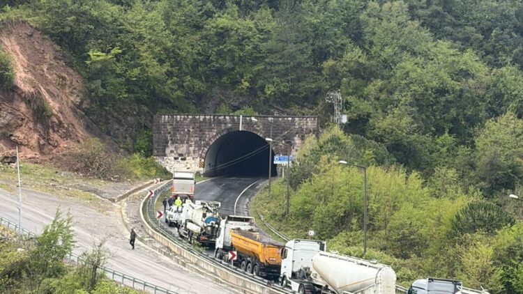 Heyelan nedeniyle kopan kaya ve dal parçaları elektrik hattını kopardı