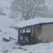 Şırnak’ta Faraşin Yaylası’nda kar yağışı