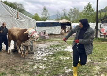 Derenin debisi arttı; iş yerleri ve kurbanlık pazarı tahliye edildi