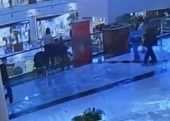 Sarıyer'de AVM'de çanta çalan 10 yaşındaki çocuk yakalandı: 92 suç kaydı çıktı