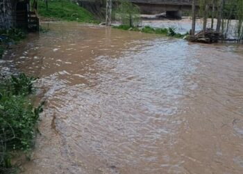 Şırnak’ta Habur Çayı taştı, ev ve ahırları su bastı