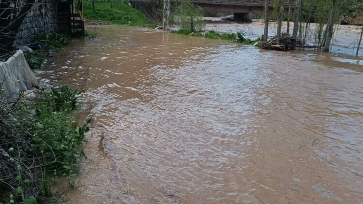 Şırnak’ta Habur Çayı taştı, ev ve ahırları su bastı