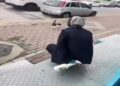 Kedinin yüzüne yağ çözücü sprey sıkan market çalışanı adli kontrol şartıyla serbest