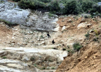 Dağlık alanda mahsur kalan 2 çocuk kurtarıldı