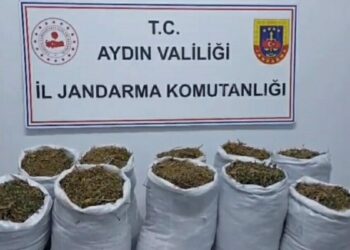 Kuşadası'nda uyuşturucu operasyonu: 2 gözaltı