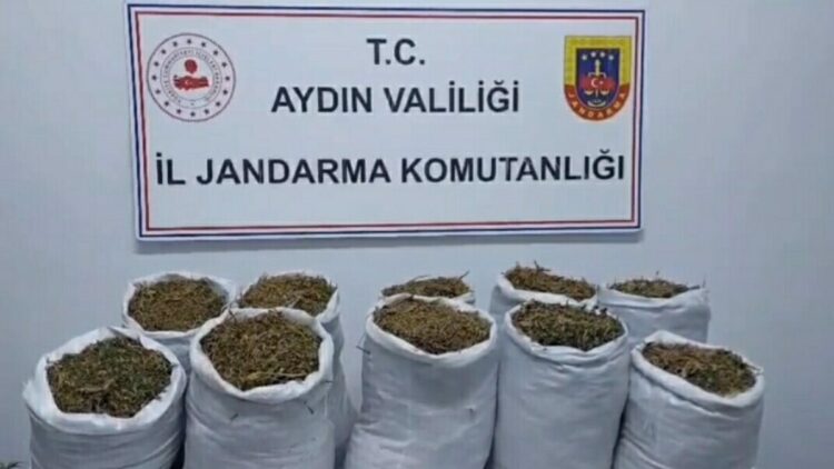 Kuşadası'nda uyuşturucu operasyonu: 2 gözaltı