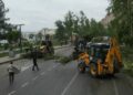 Şanlıurfa'da fırtınada devrilen ağaçlar kaldırılıyor