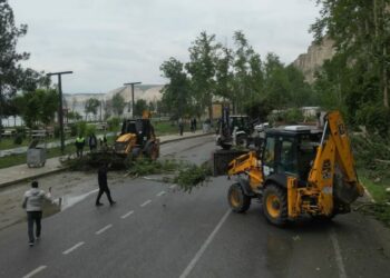 Şanlıurfa'da fırtınada devrilen ağaçlar kaldırılıyor