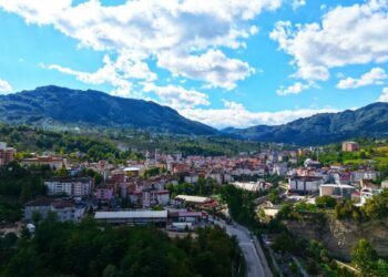 Ordu’da 8 çocuk yapanlara iş imkanı, 10 çocuk yapanlara sıfır araç