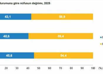 18-74 yaş arası nüfusun yüzde 43,1'i bakım sorumluluğu taşıyor