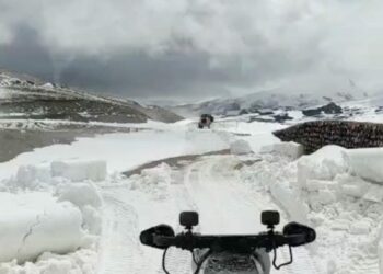 2 bin 390 rakımdaki Spikor Geçidi'nde karla mücadele çalışması
