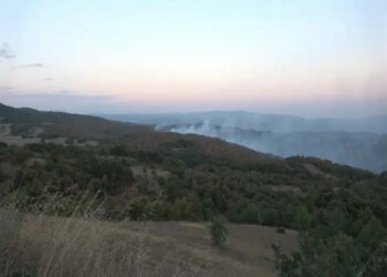 Kocaeli’de ormanlara giriş yasaklandı