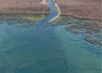 Sapanca Gölü'nde su seviyesi yükseldi