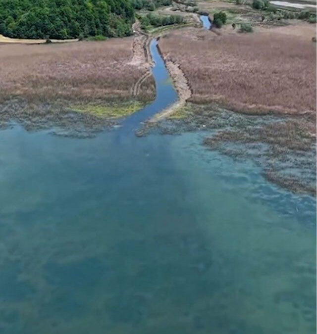 Sapanca Gölü'nde su seviyesi yükseldi