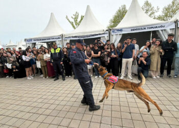 Jandarmanın arama-kurtarma köpeği Çınar’ın son gösterisi, ilgiyle izlendi
