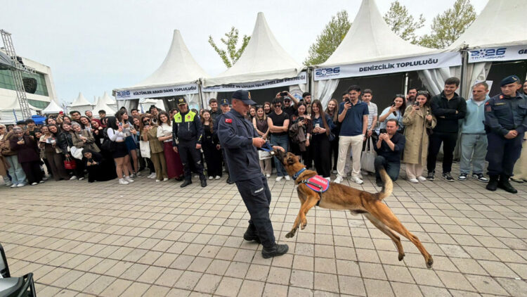 Jandarmanın arama-kurtarma köpeği Çınar’ın son gösterisi, ilgiyle izlendi